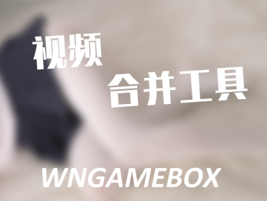 WANGAMEBOX-视频无损合并工具