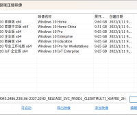 Win10 22H2 19045.2486 x64 UUP镜像