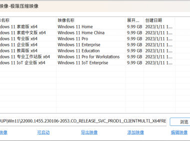 Win11 21H2 22000.1455 x64 UUP镜像